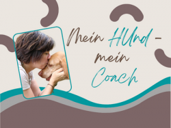 Mein Hund - mein Coach (Onlinekurs)